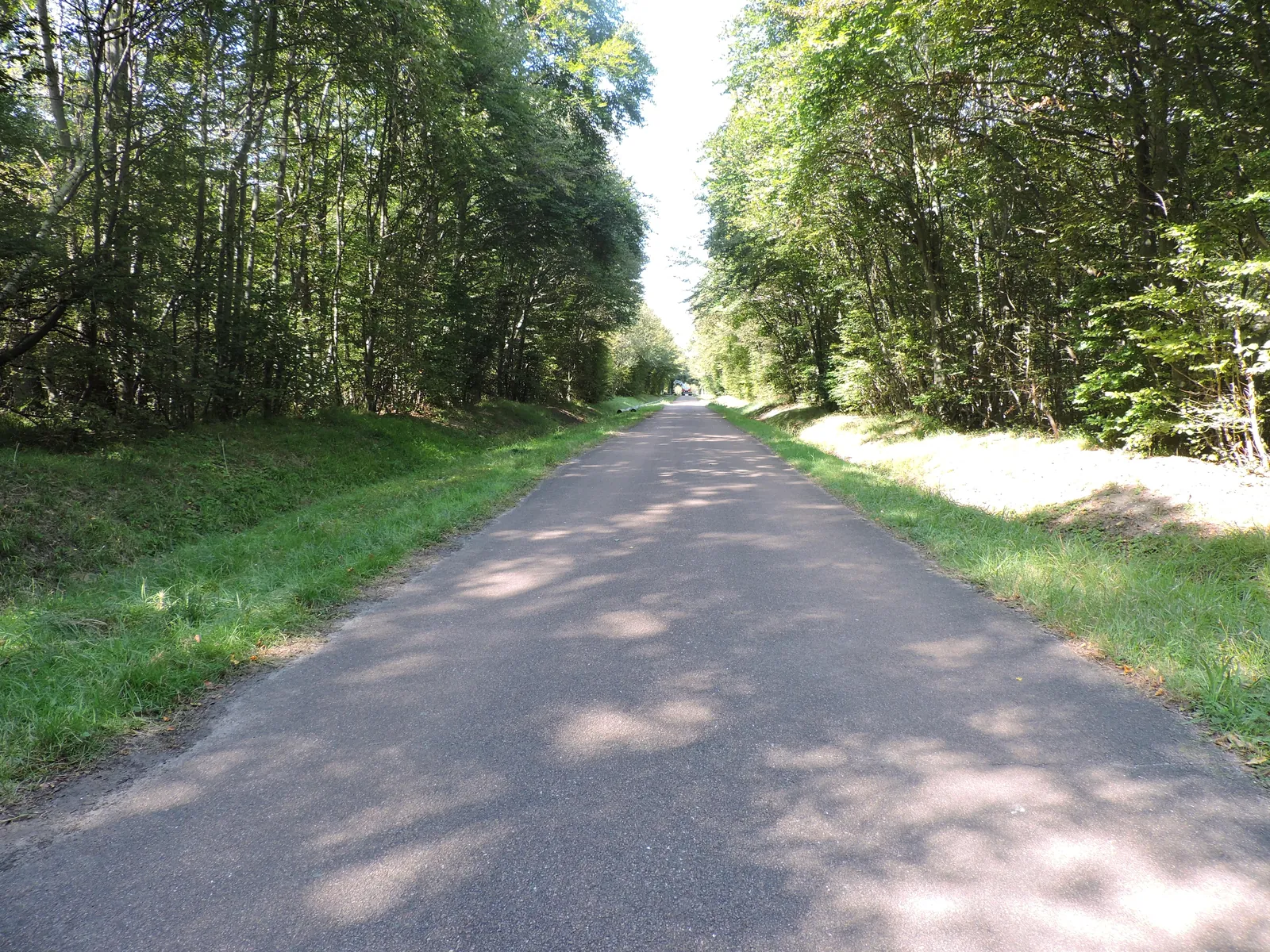 Promenade en forêt de Chantilly 