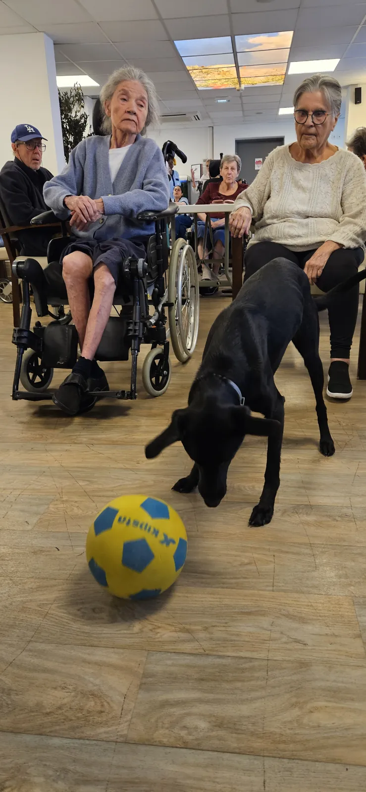 Il y a du sport dans l'air