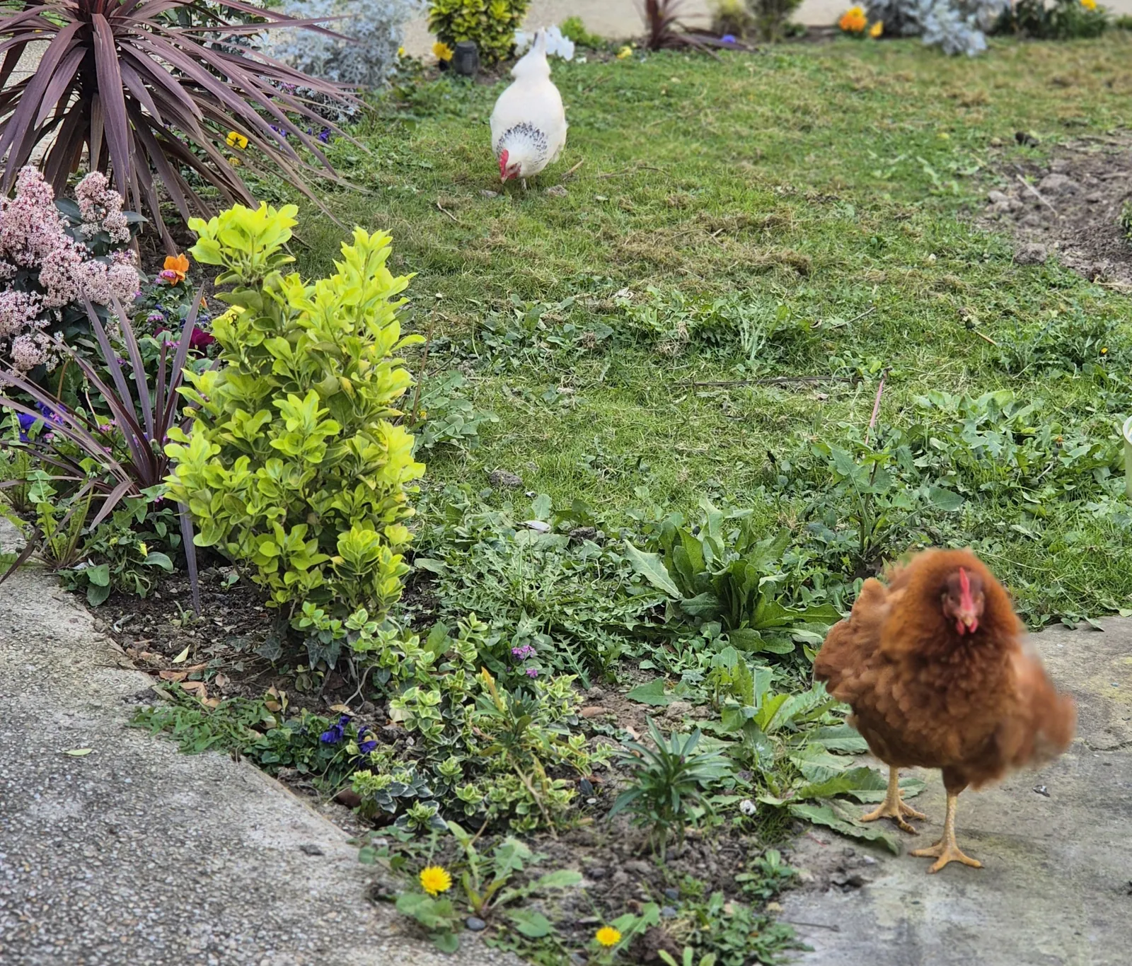 Un air de printemps à l’EHPAD LES JARDINS D’EPINAY