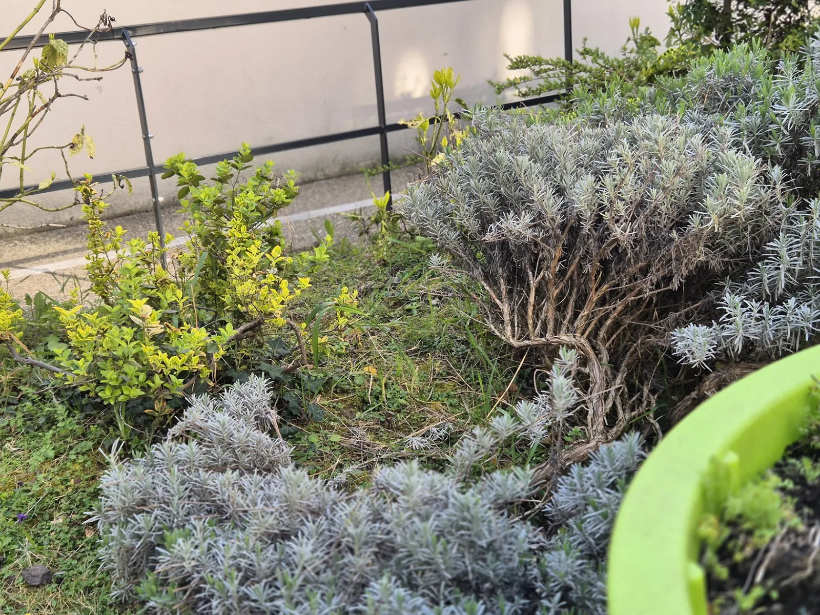 Un air de printemps à l’EHPAD LES JARDINS D’EPINAY