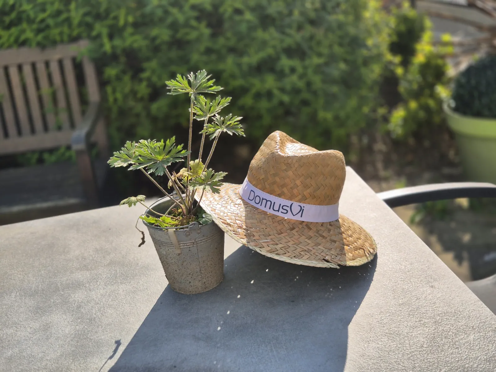 Un air de printemps à l’EHPAD LES JARDINS D’EPINAY