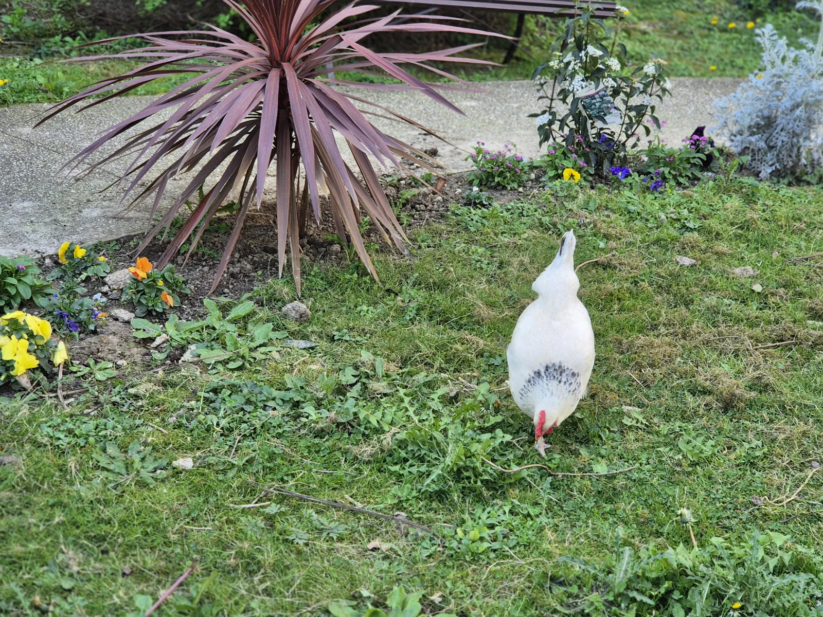 Un air de printemps à l’EHPAD LES JARDINS D’EPINAY