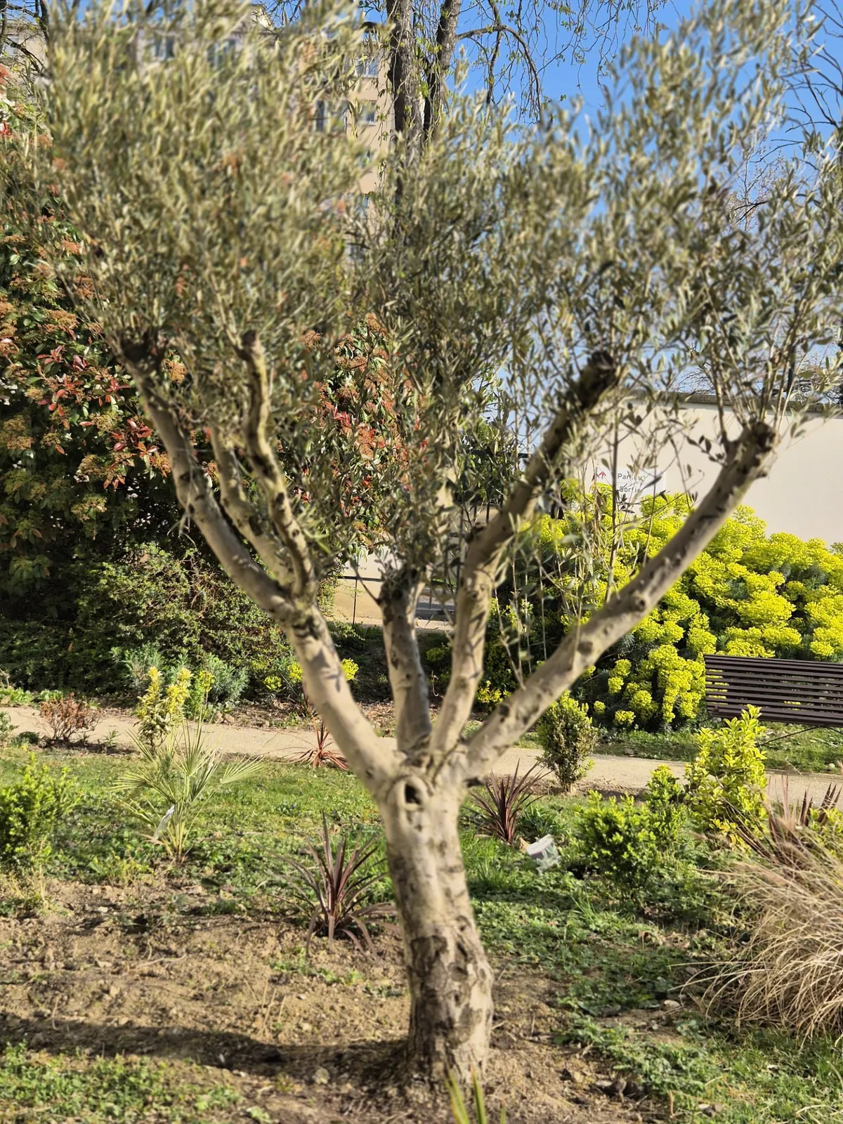 Un air de printemps à l’EHPAD LES JARDINS D’EPINAY