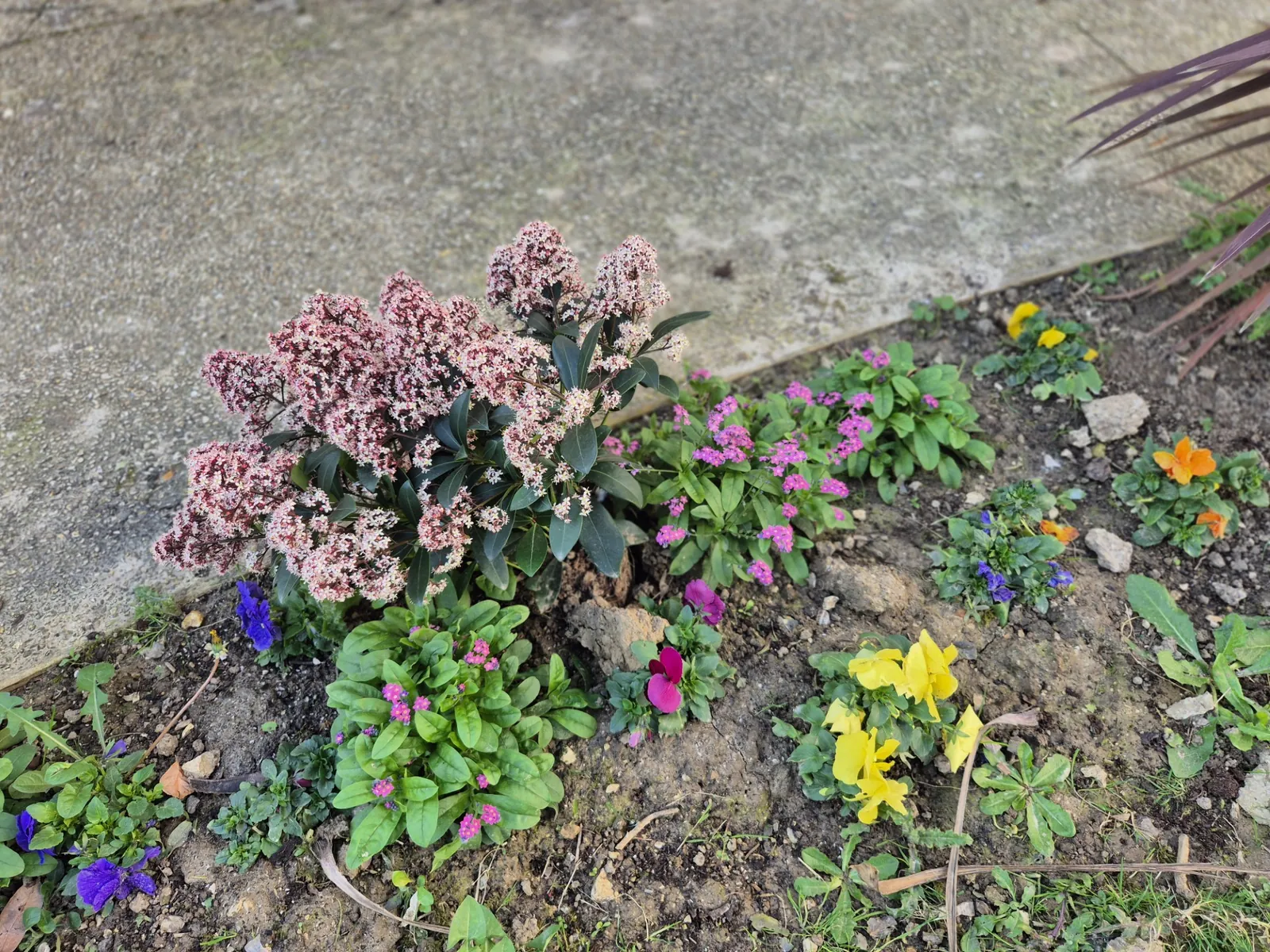 Un air de printemps à l’EHPAD LES JARDINS D’EPINAY