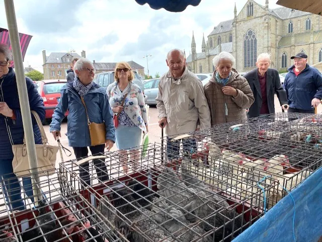 Le joli mois de juin annonciateur de soleil et d'envie de se balader 