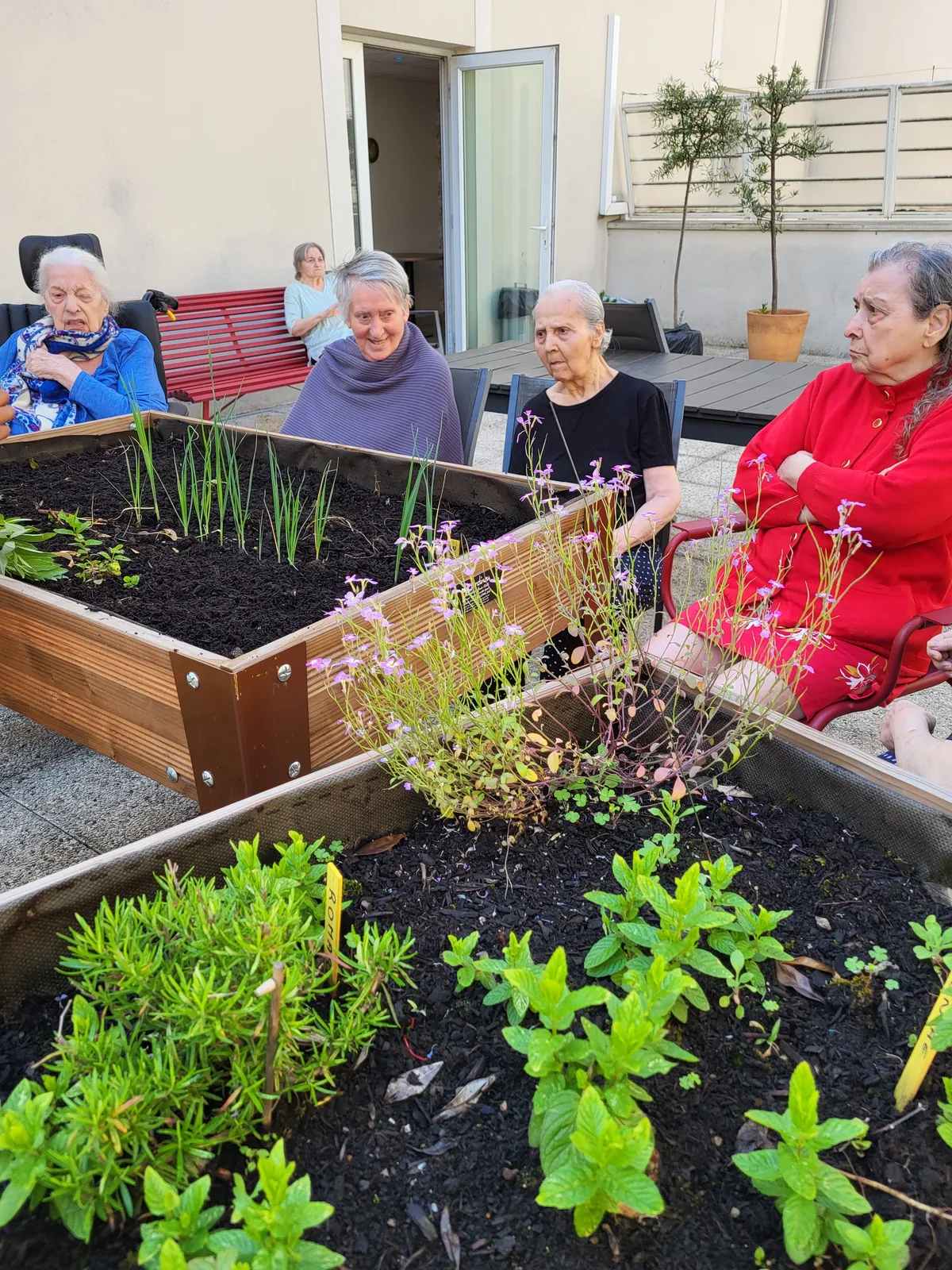 atelier jardinage au 1er étage a la résidence les Adrets 