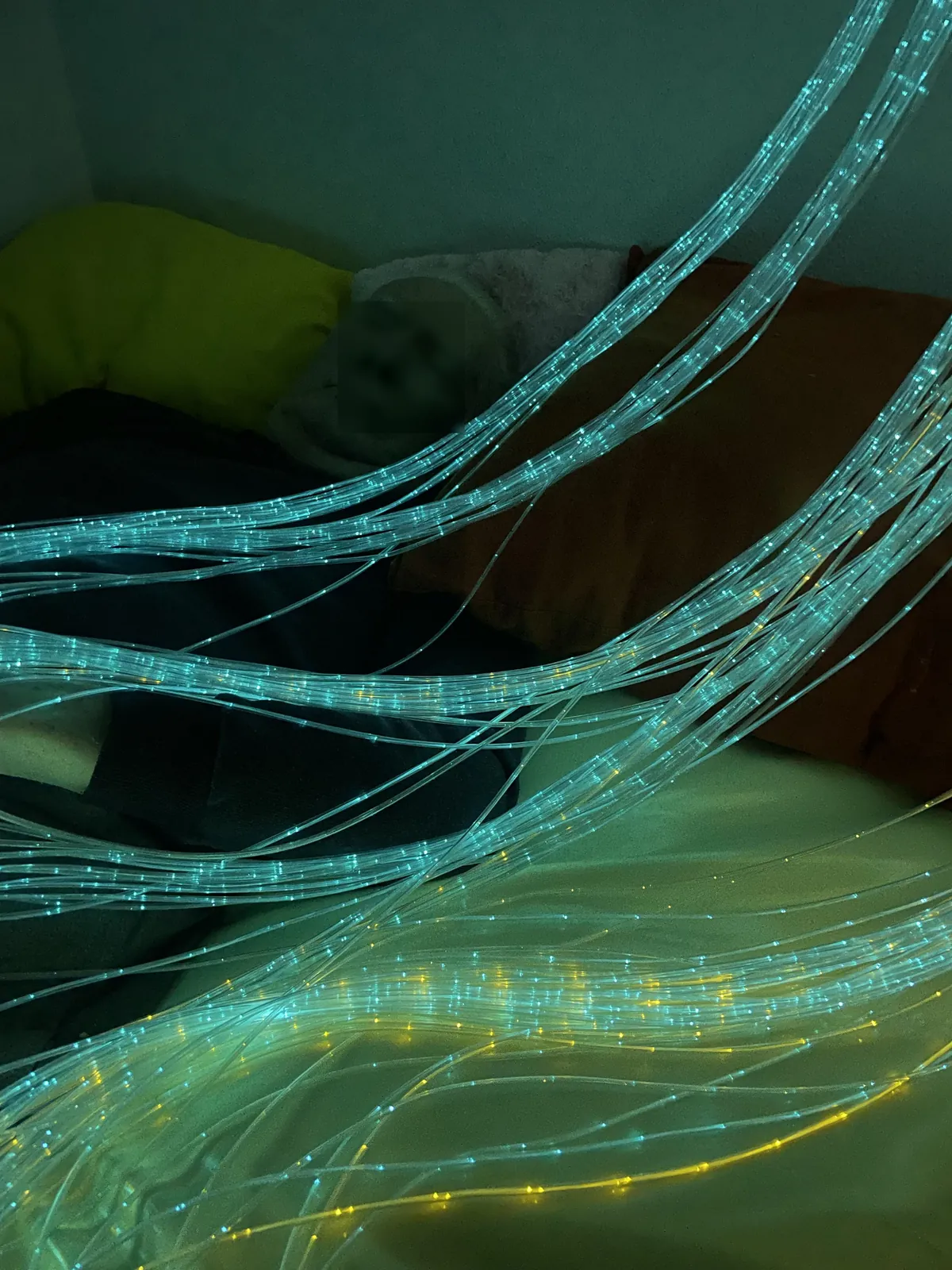 Activité sensorielle : Snoezelen 