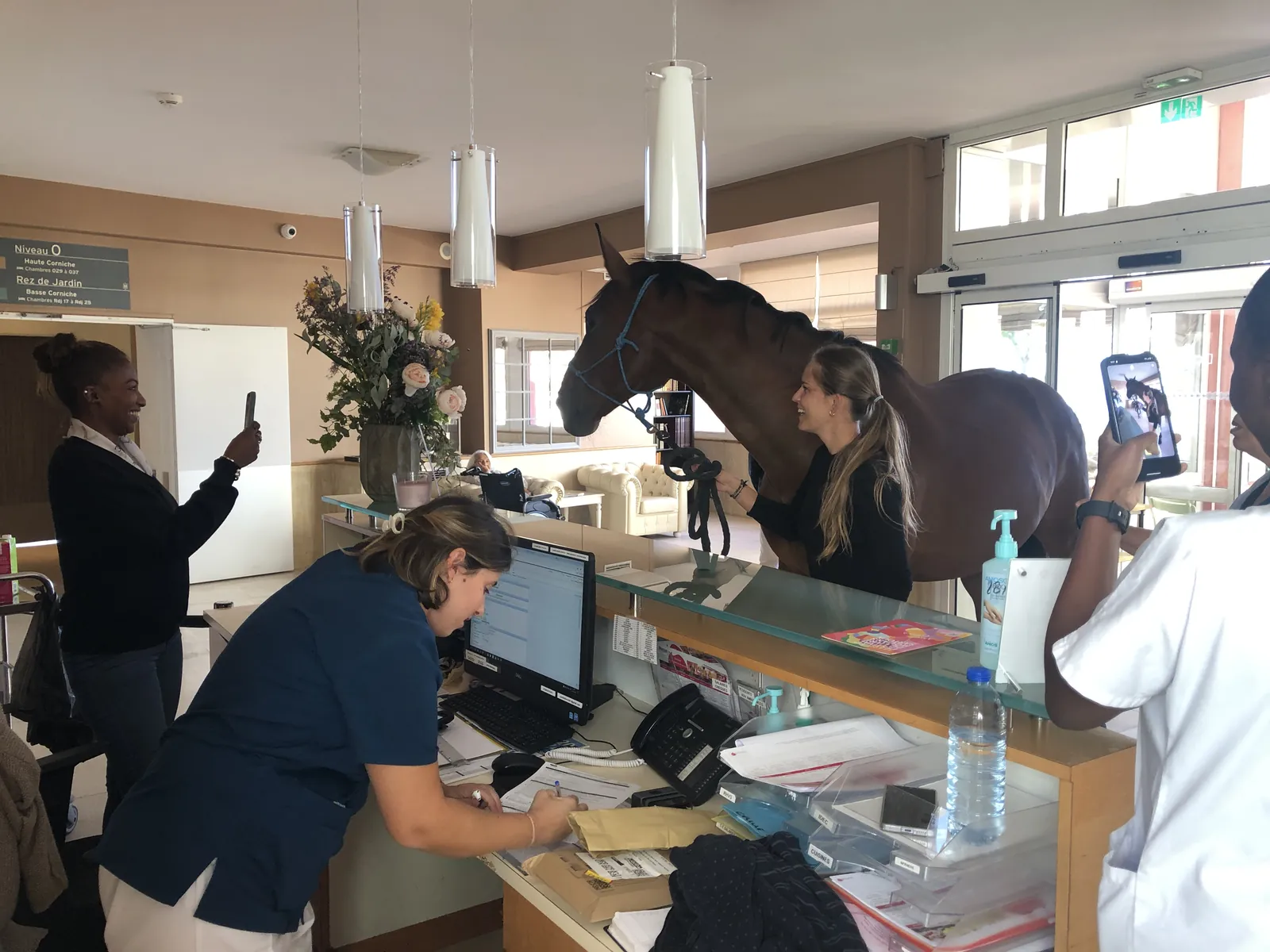 Un cheval à l'EHPAD