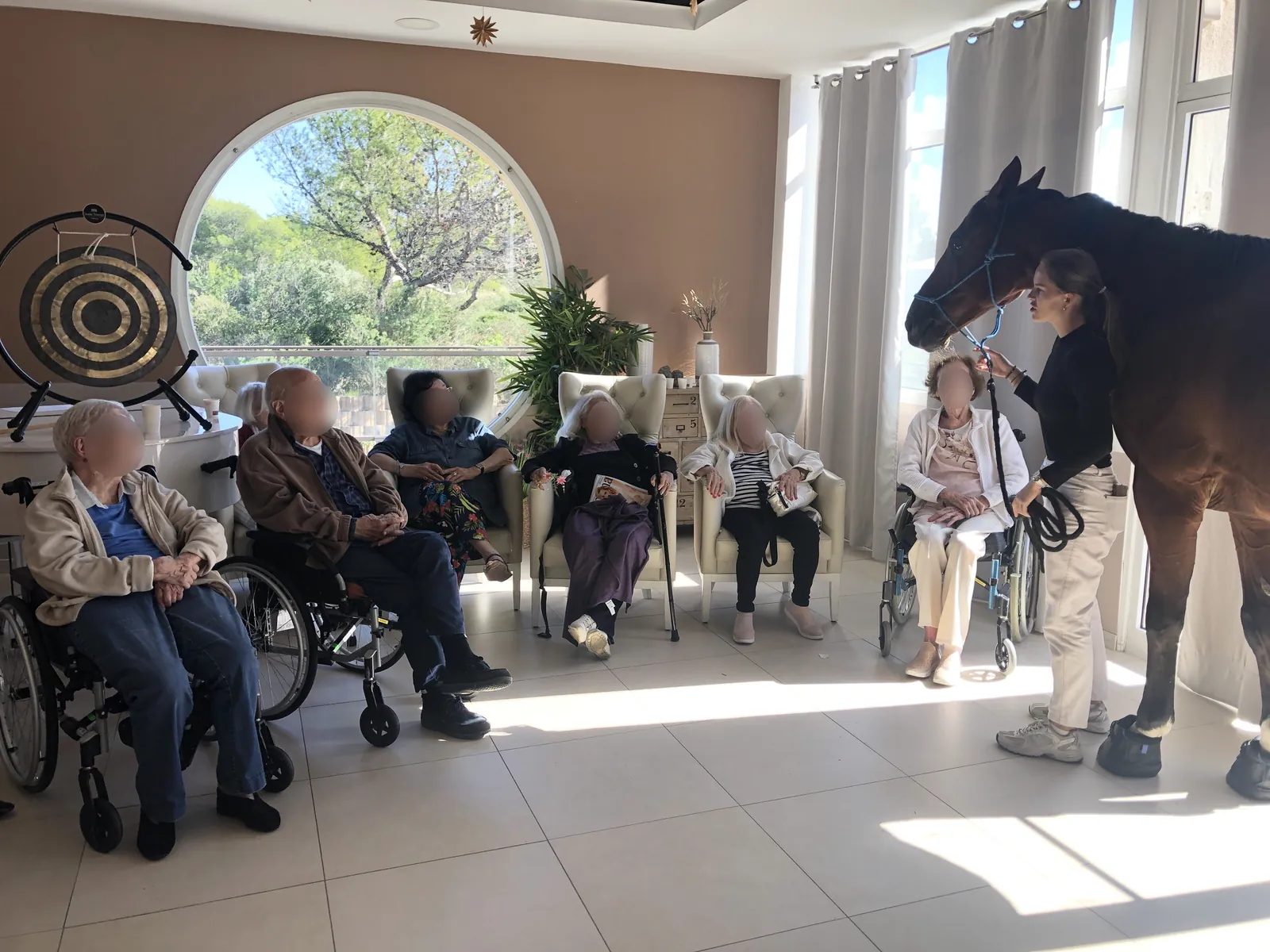 Un cheval à l'EHPAD
