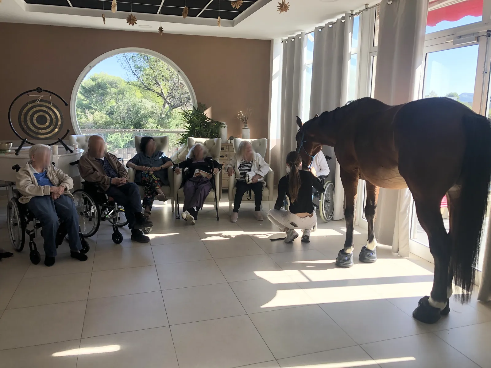 Un cheval à l'EHPAD