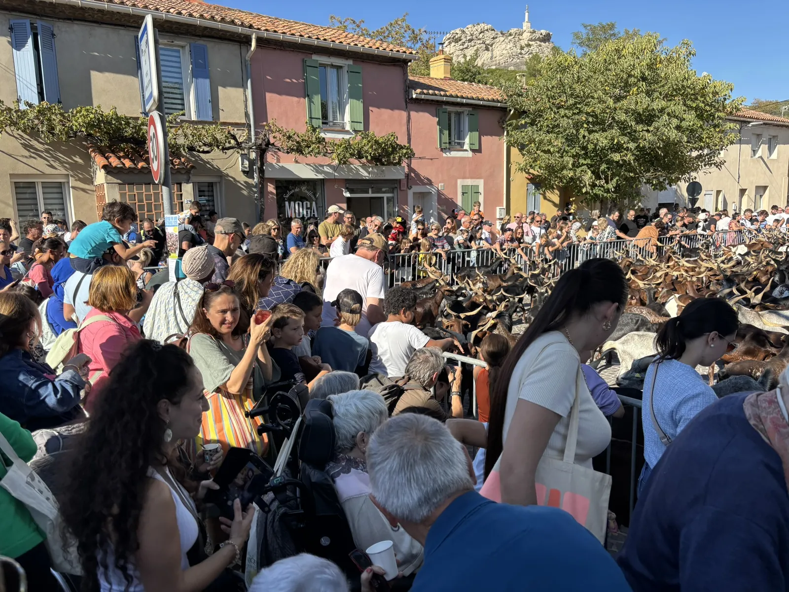 Un week-end animé : du Rove à Marseille, nos résidents en mouvement !