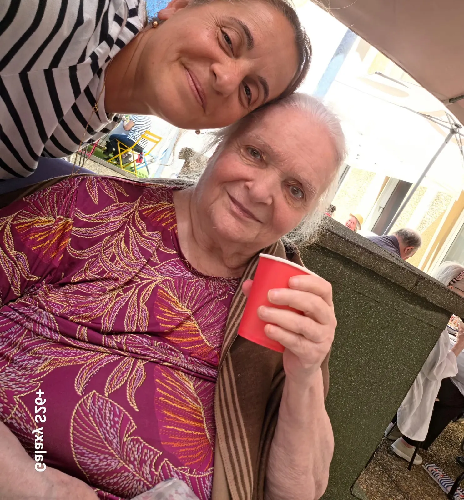 La Fête des Familles : un moment de partage aux couleurs de Toulon et de la Provence