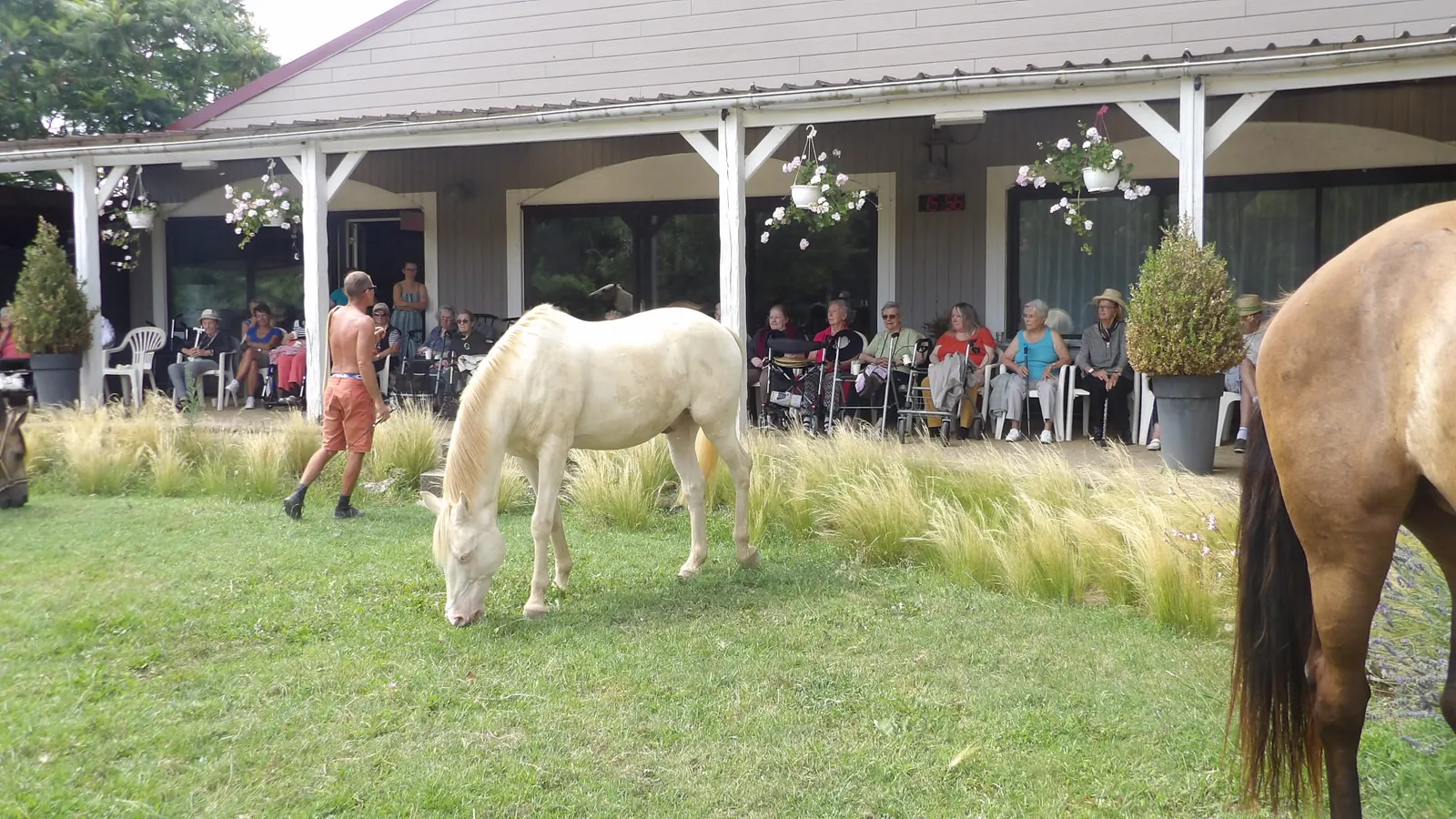 Sortie enchantée aux Écuries de Firia : chevaux, retrouvailles et douceurs partagées !