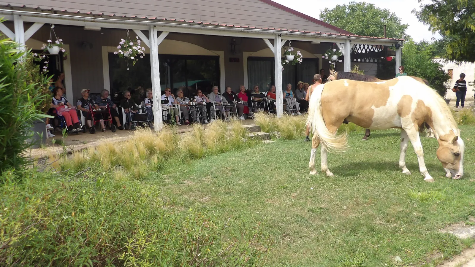 Sortie enchantée aux Écuries de Firia : chevaux, retrouvailles et douceurs partagées !