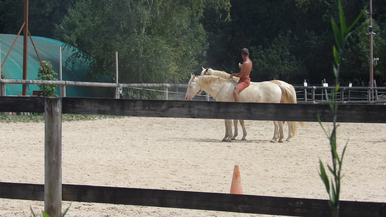 Sortie enchantée aux Écuries de Firia : chevaux, retrouvailles et douceurs partagées !