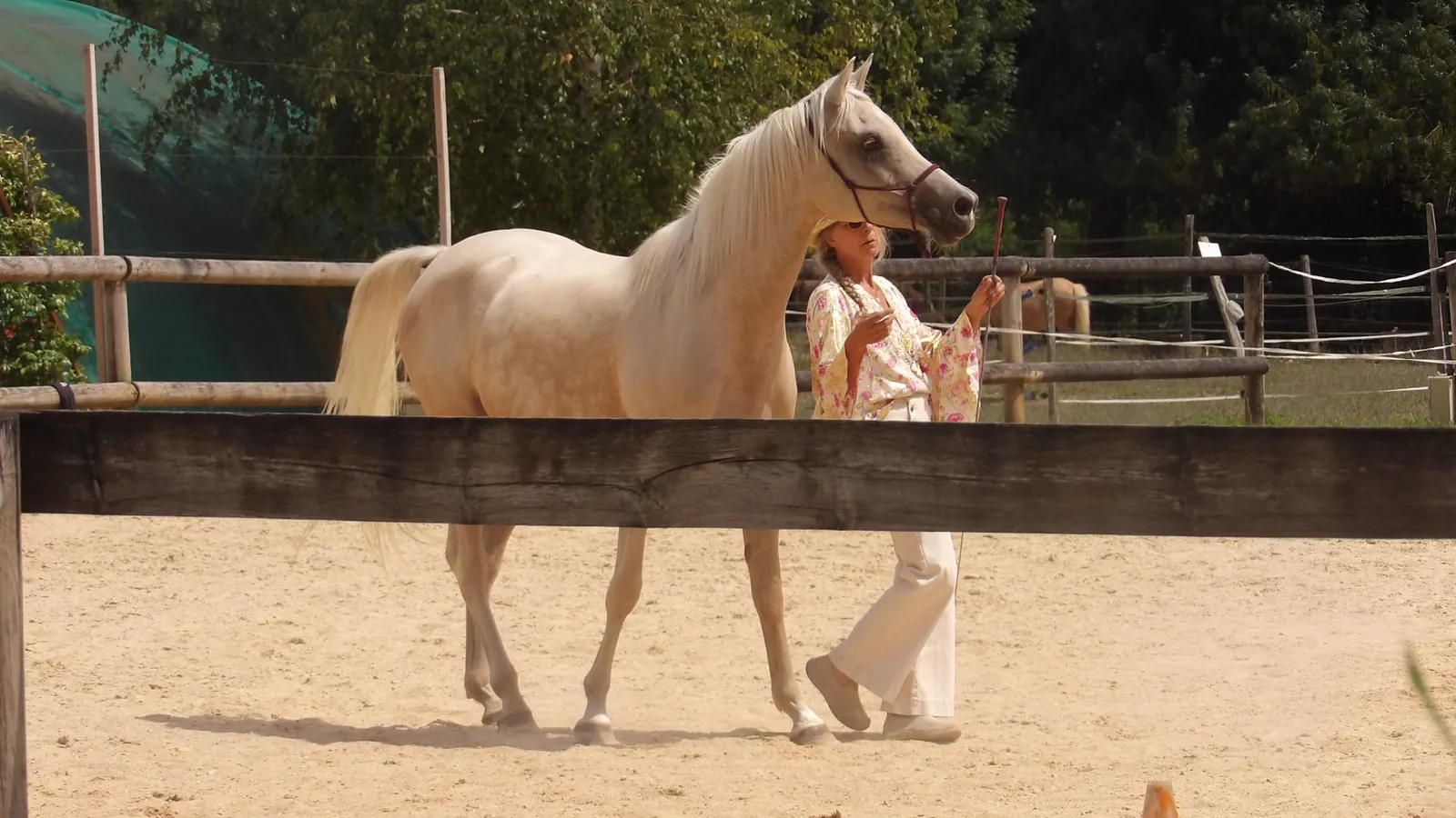 Sortie enchantée aux Écuries de Firia : chevaux, retrouvailles et douceurs partagées !