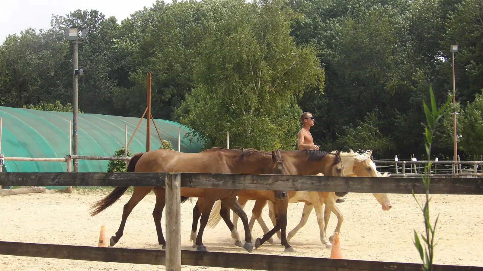 Sortie enchantée aux Écuries de Firia : chevaux, retrouvailles et douceurs partagées !