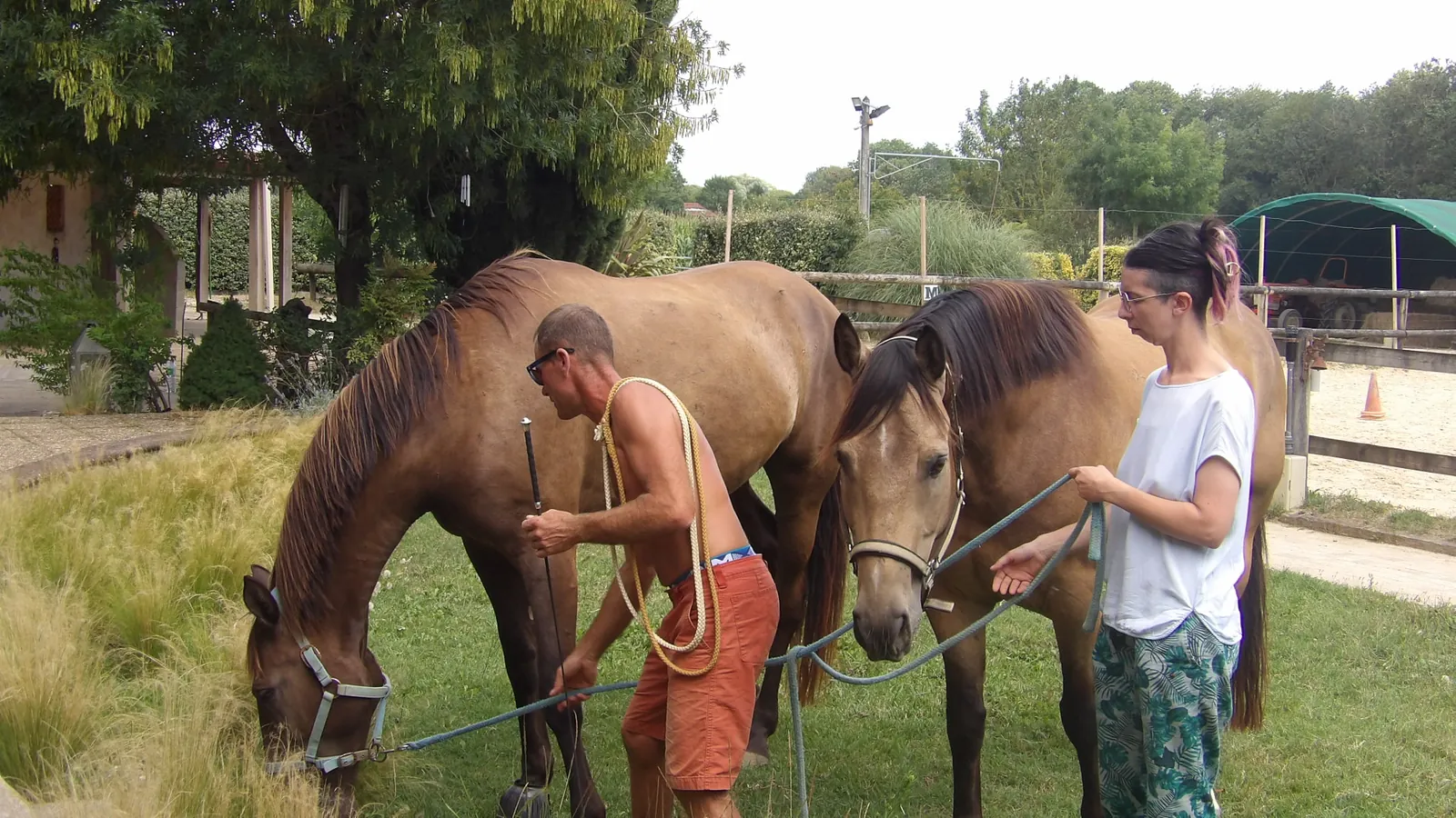 Sortie enchantée aux Écuries de Firia : chevaux, retrouvailles et douceurs partagées !