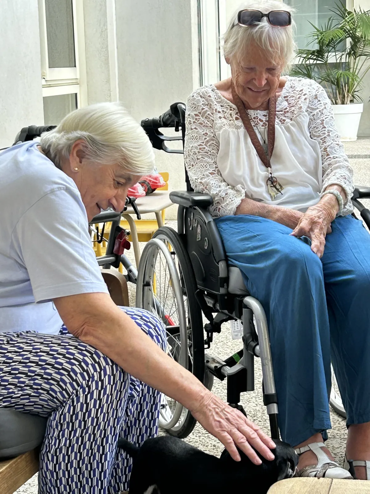 Café conviviale avec l'ADJ