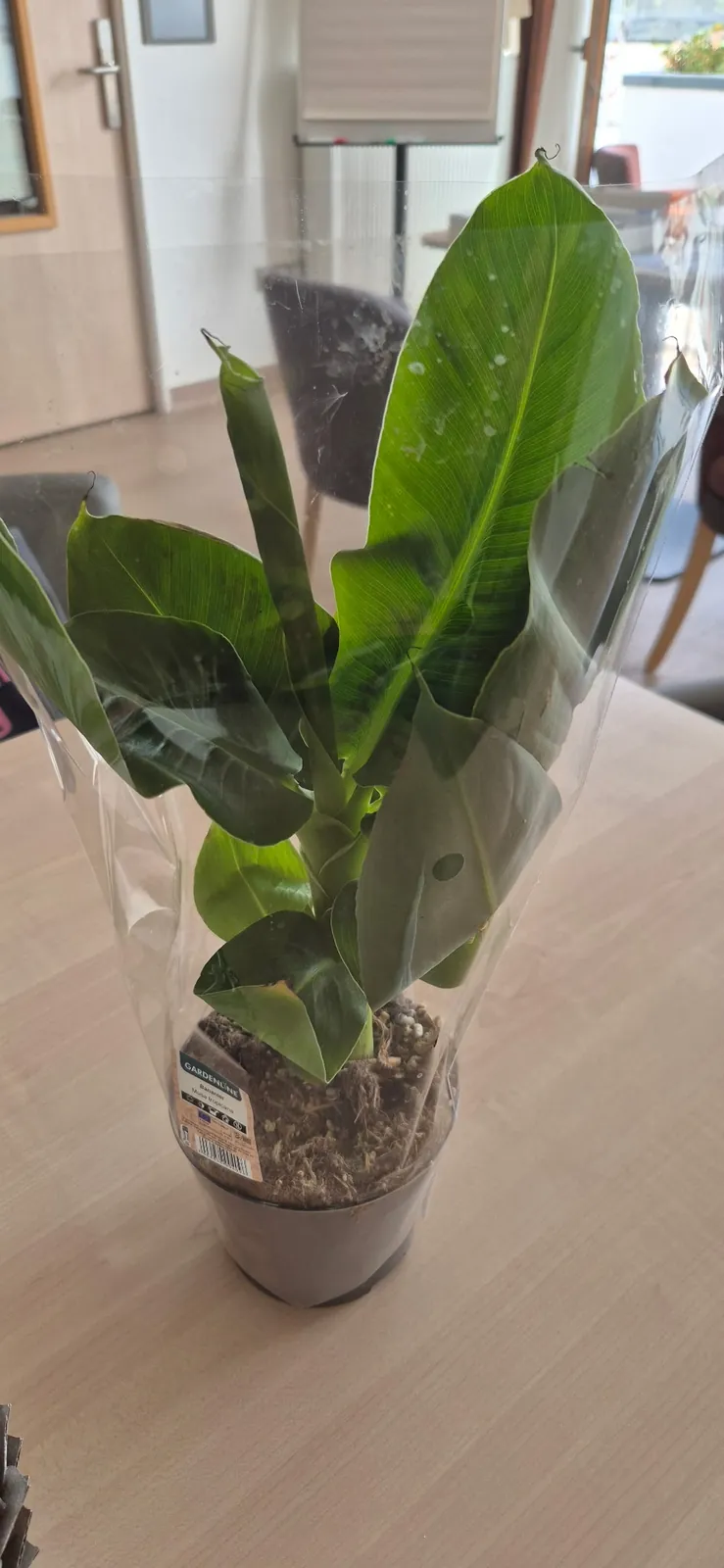 Gourmandise, jardinage et partage : une belle journée au PASA !