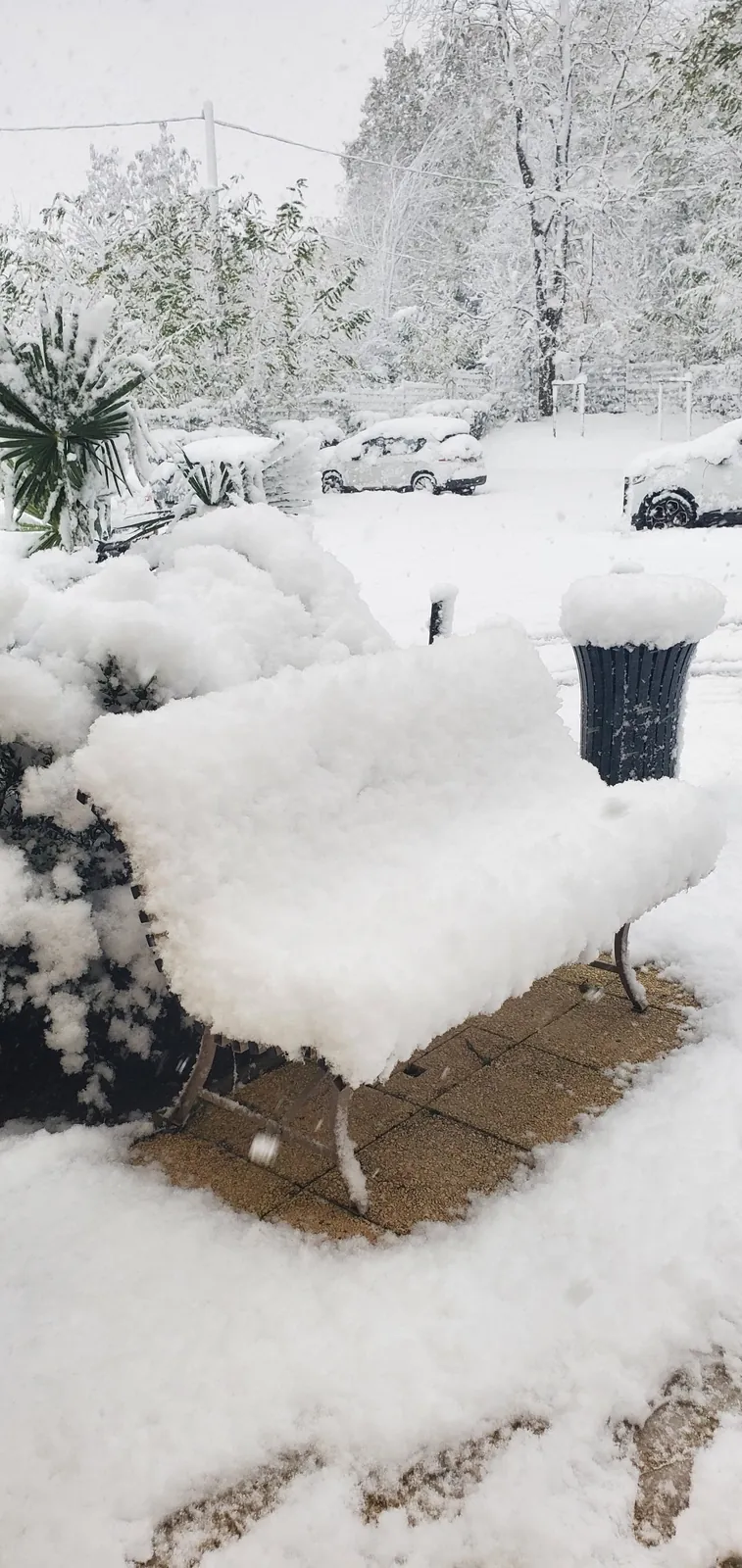 Quand la résidence se recouvre d'un épais manteau blanc....