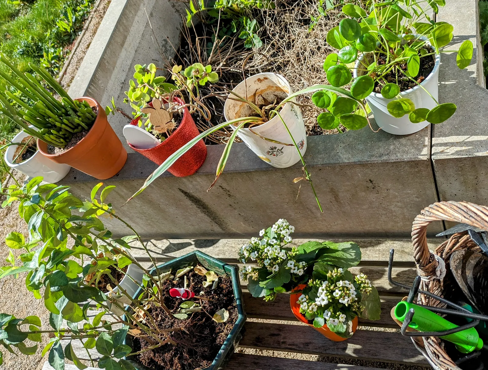Semaine du jardinage 