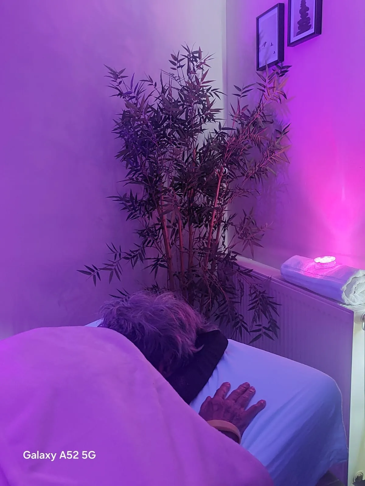 "Cocon de douceur" : un moment suspendu au cœur des Jardins de l’Aunette