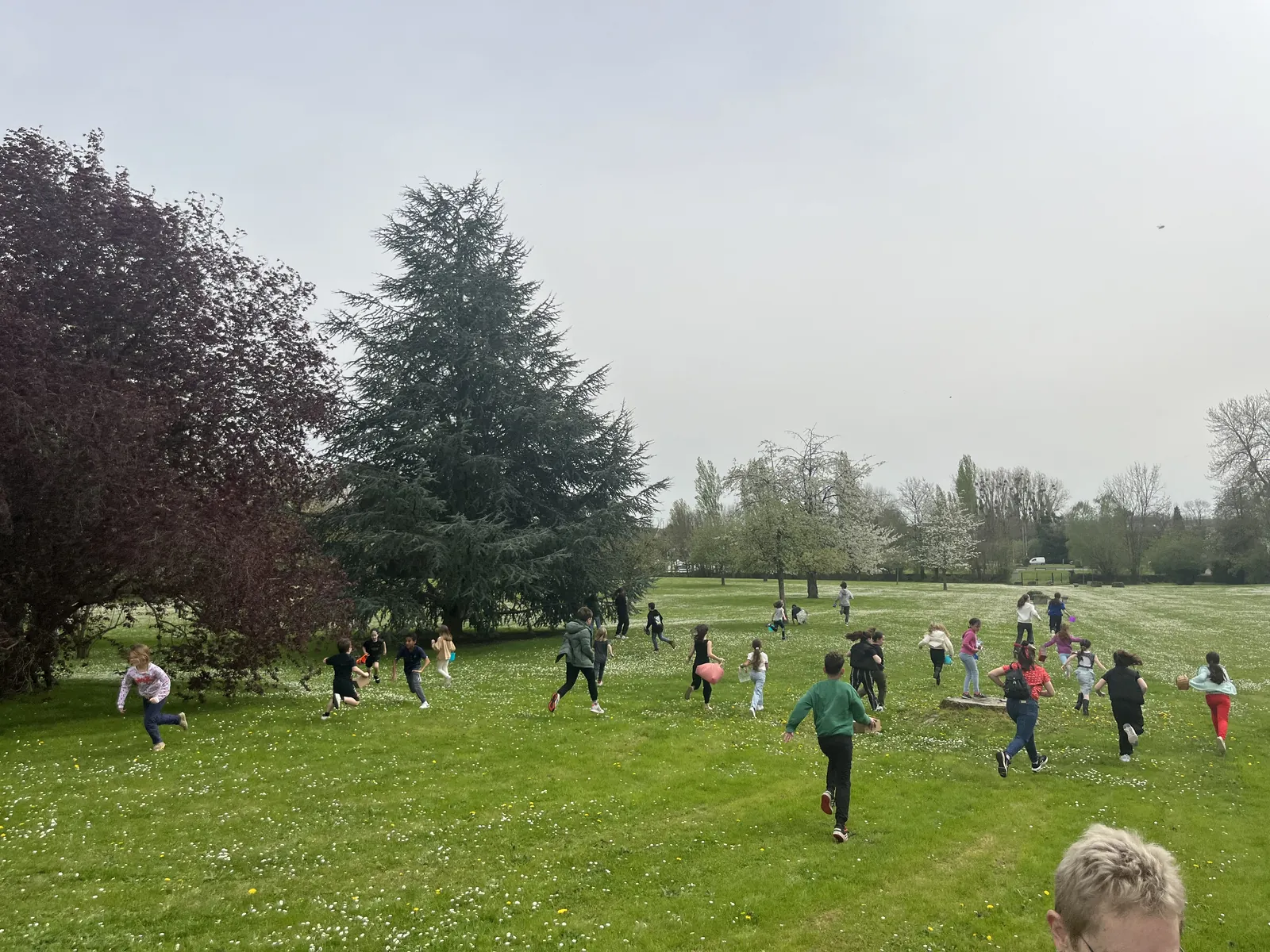 Bienvenue à la chasse aux oeufs 2024 ! 
