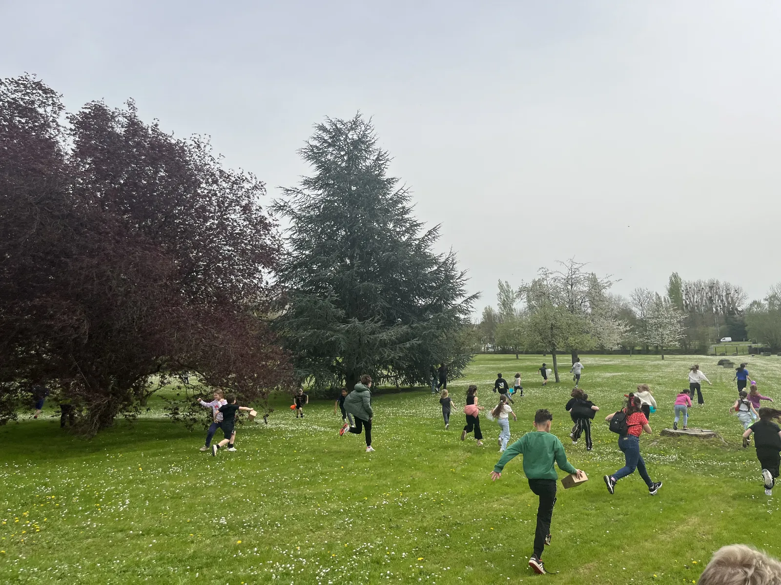 Bienvenue à la chasse aux oeufs 2024 ! 