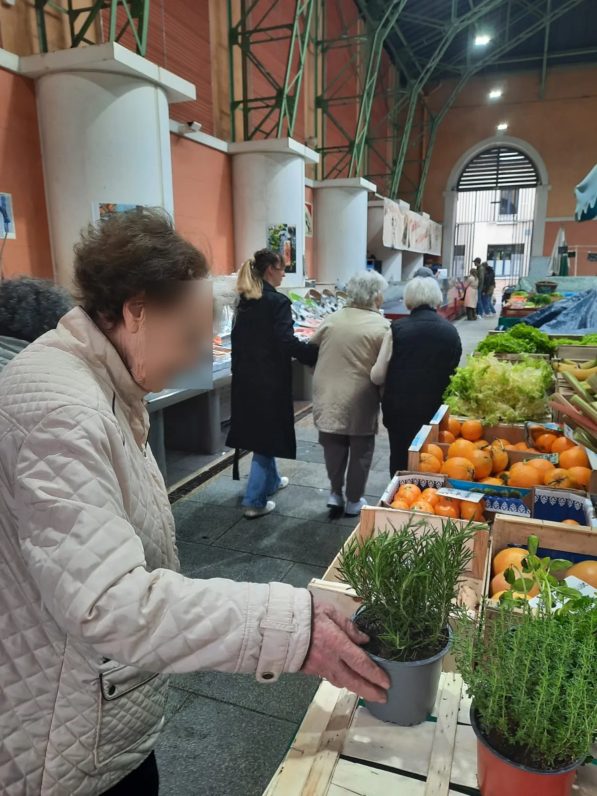 SORTIE SUR LE MARCHE DE PROVINS LES JARDINS MEDICIS 