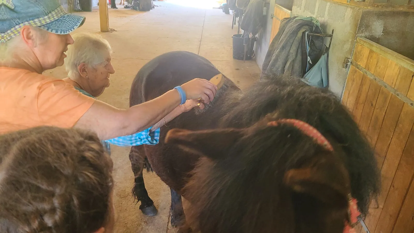 Sortie à la ferme pour la résidence Saint Jean - Agen 