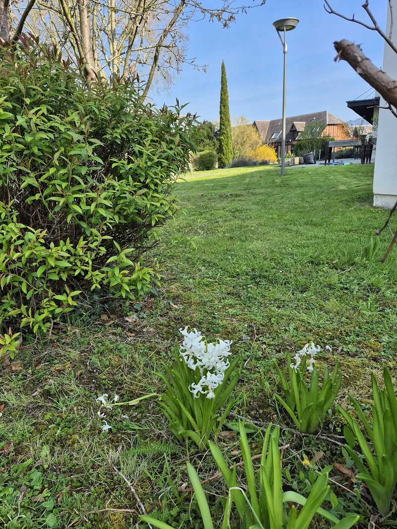 Le Renouveau est là : Nos Résidents Retrouvent le Chemin du Parc