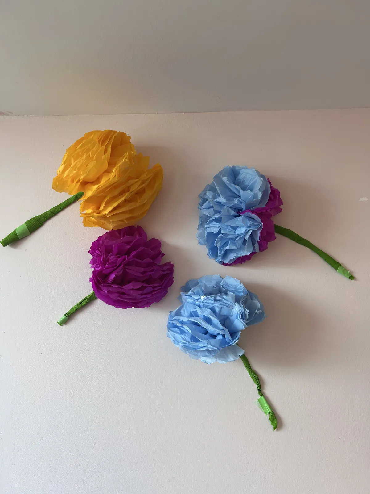Un jardin de couleurs à l'unité protégée 