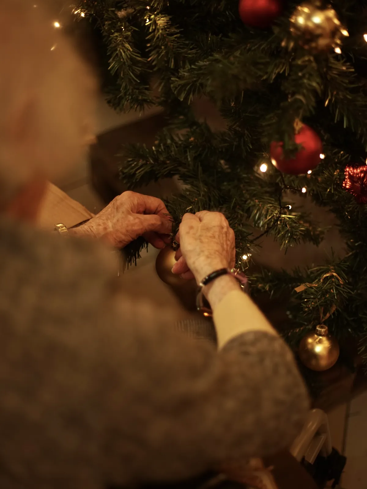 La magie de Noël s'invite au Palais