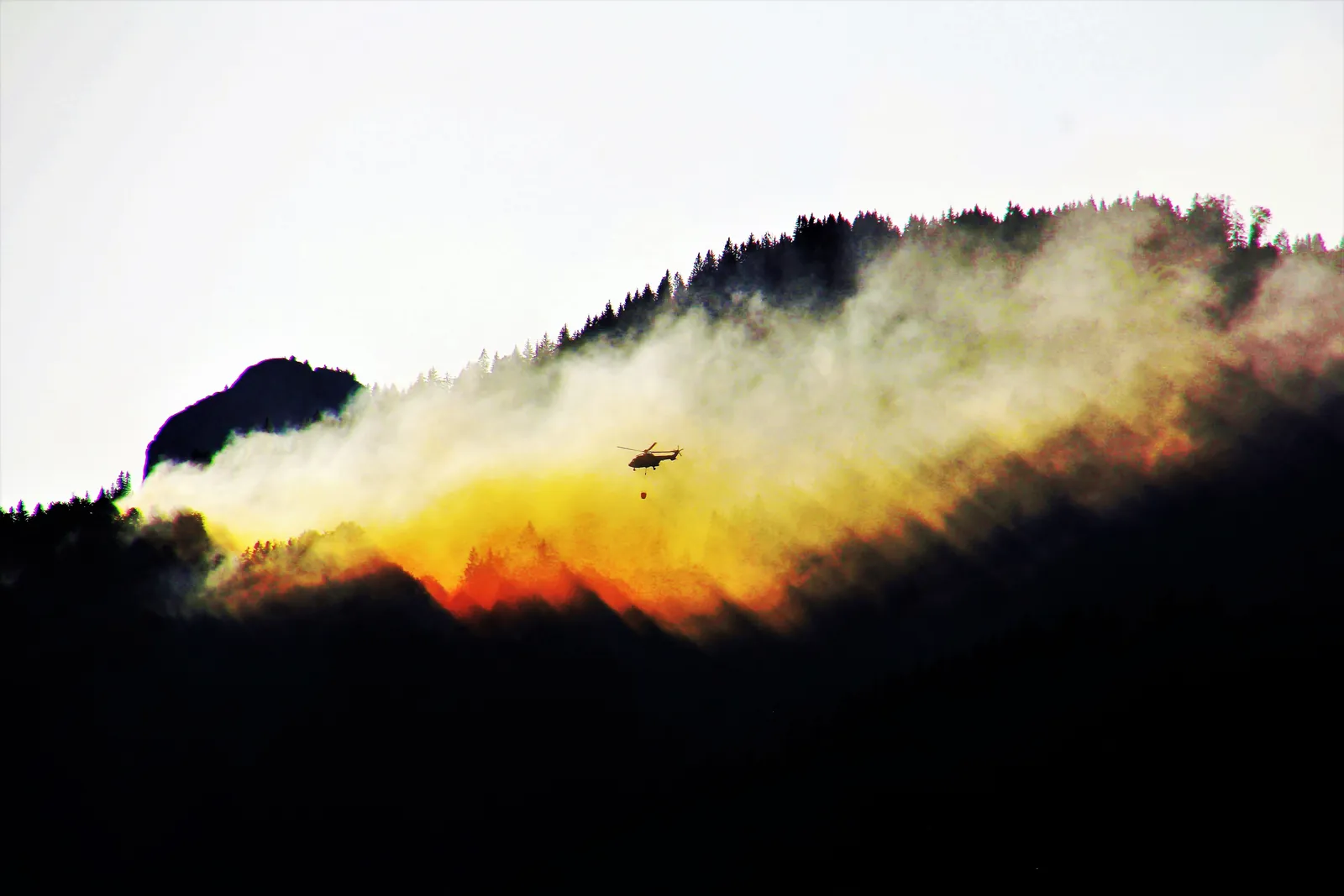 Incendies : les équipes DomusVi pleinement mobilisées aux côtés des autorités