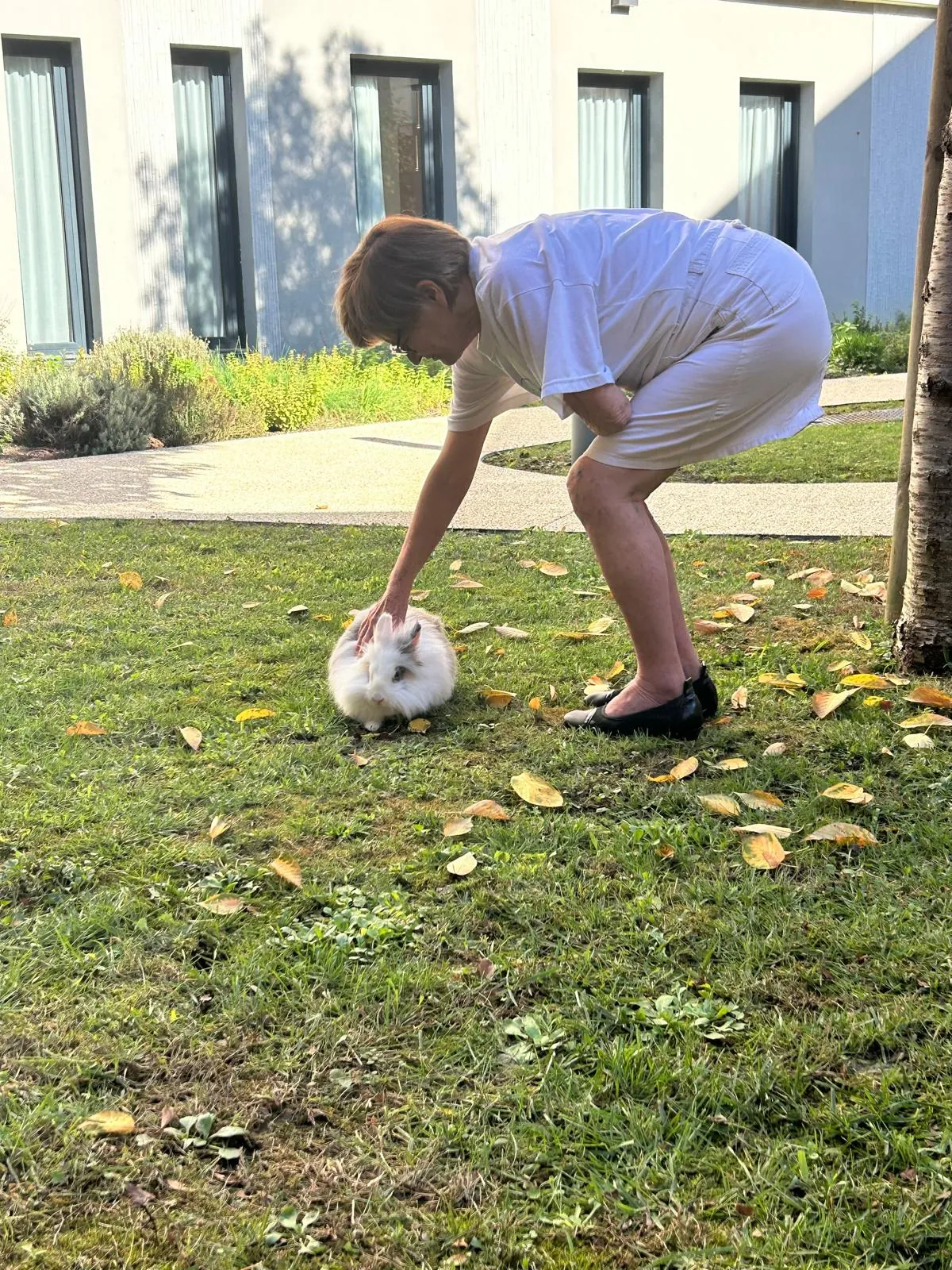 Un après-midi tout en douceur avec la médiation animale à la Résidence Saint Jean Agen 