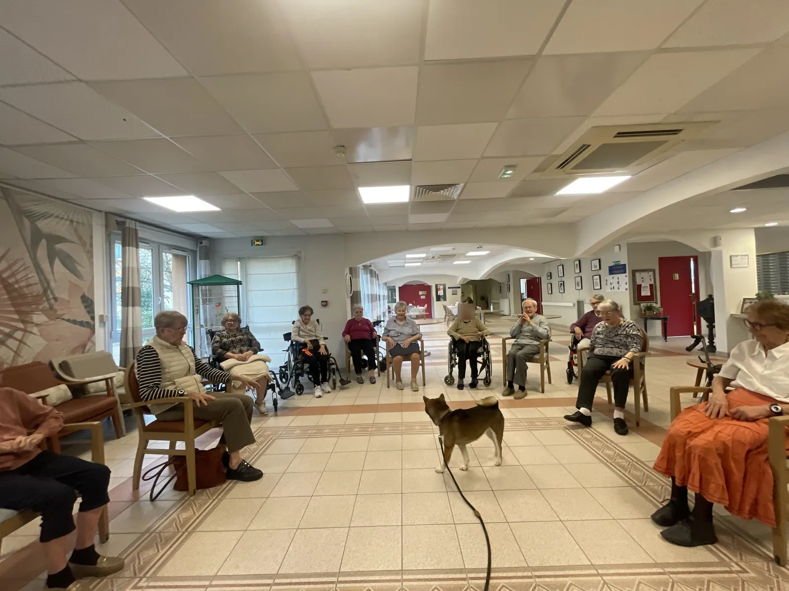 médiation animale  : Visite de tango !