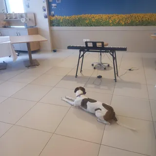 Initiation au piano