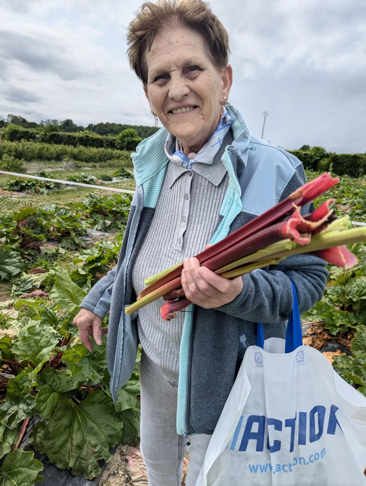 Un bel après-midi 
