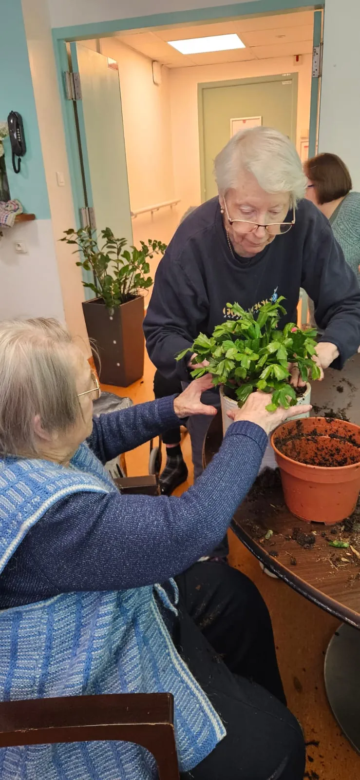 Atelier jardinage : le rempotage / Rénovation : Etape1 la peinture