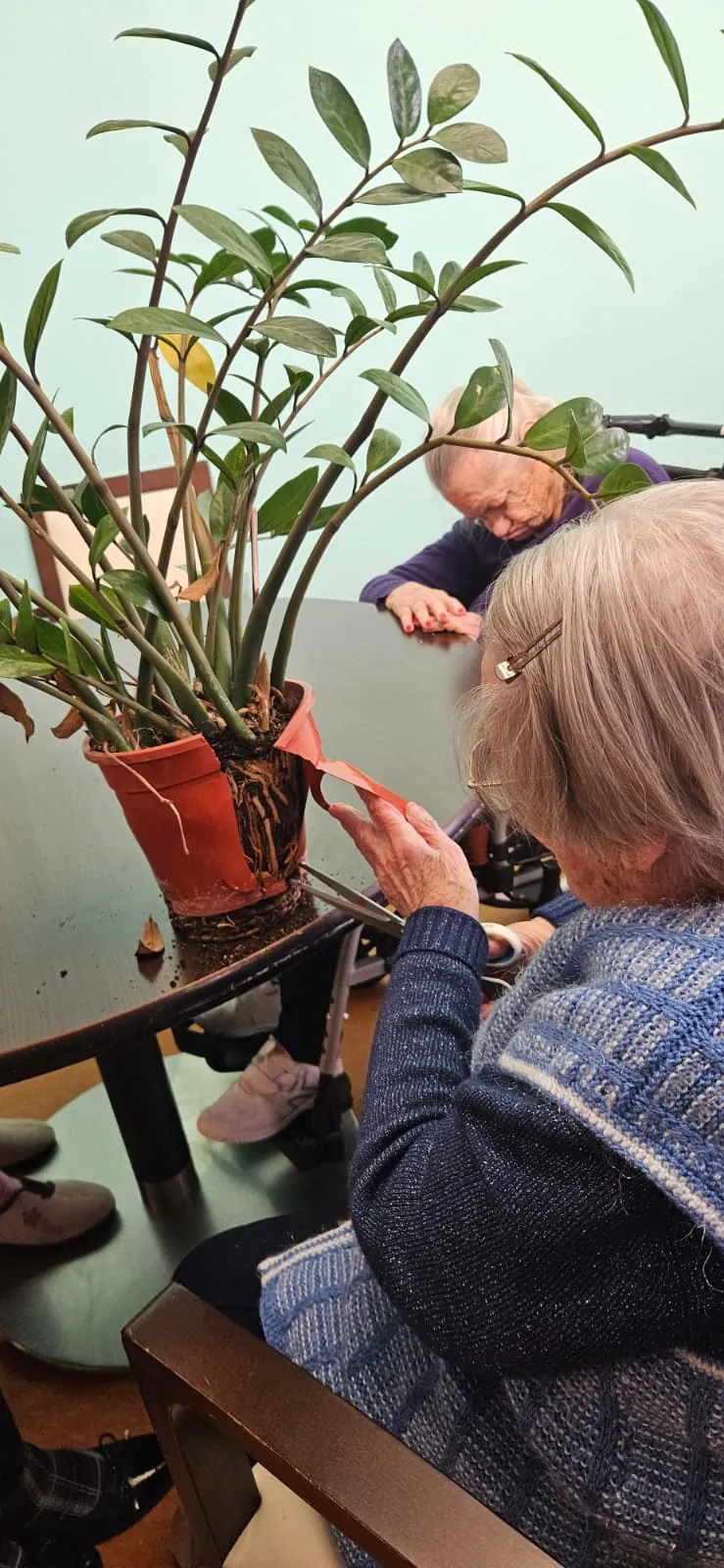 Atelier jardinage : le rempotage / Rénovation : Etape1 la peinture