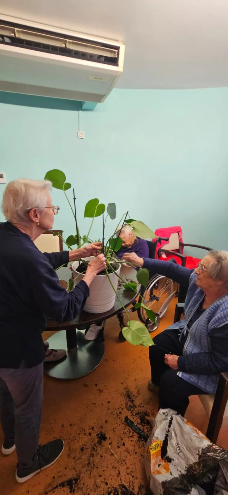 Atelier jardinage : le rempotage / Rénovation : Etape1 la peinture