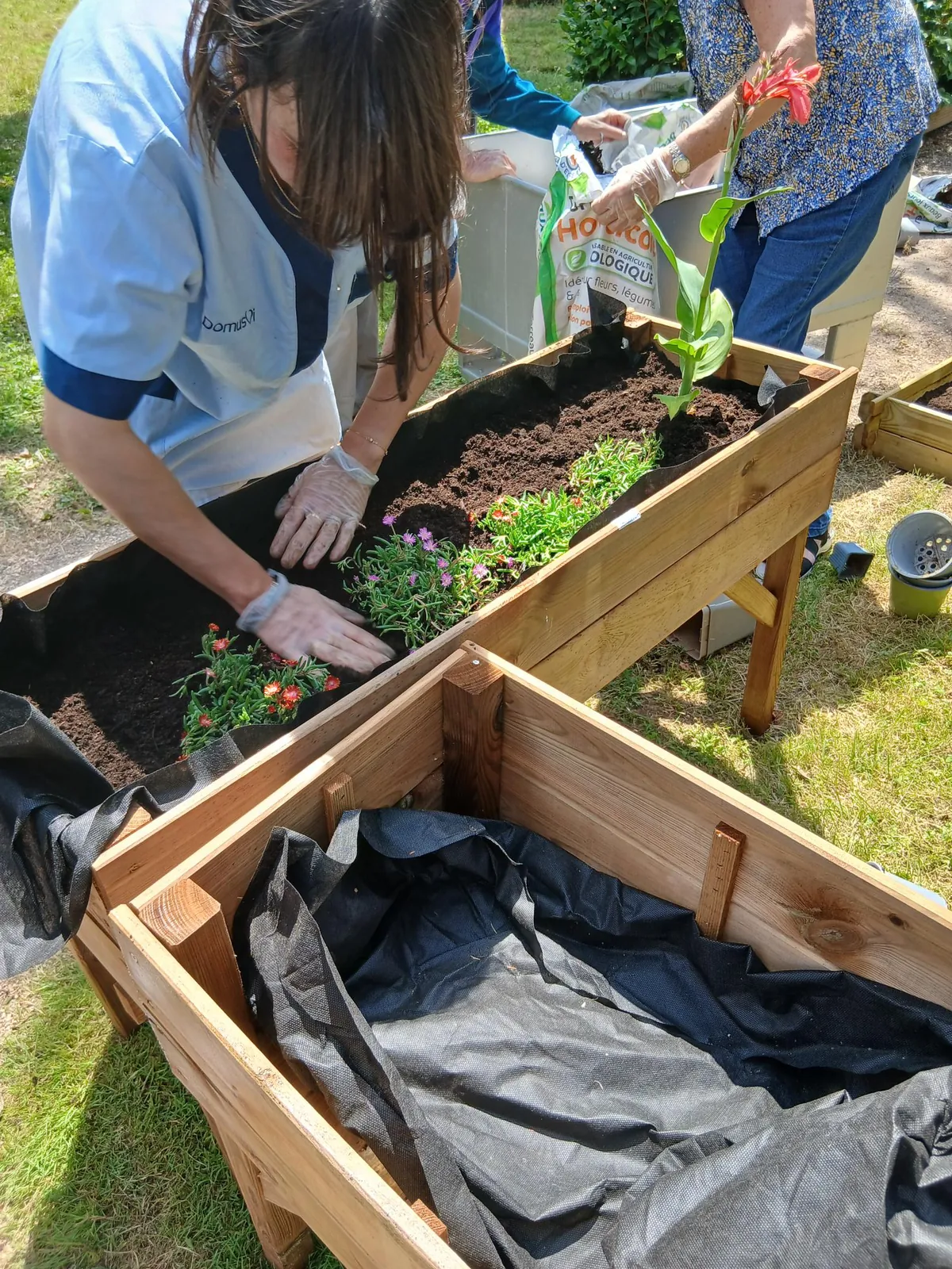 Un petit potager, de grands moments partagés ! 