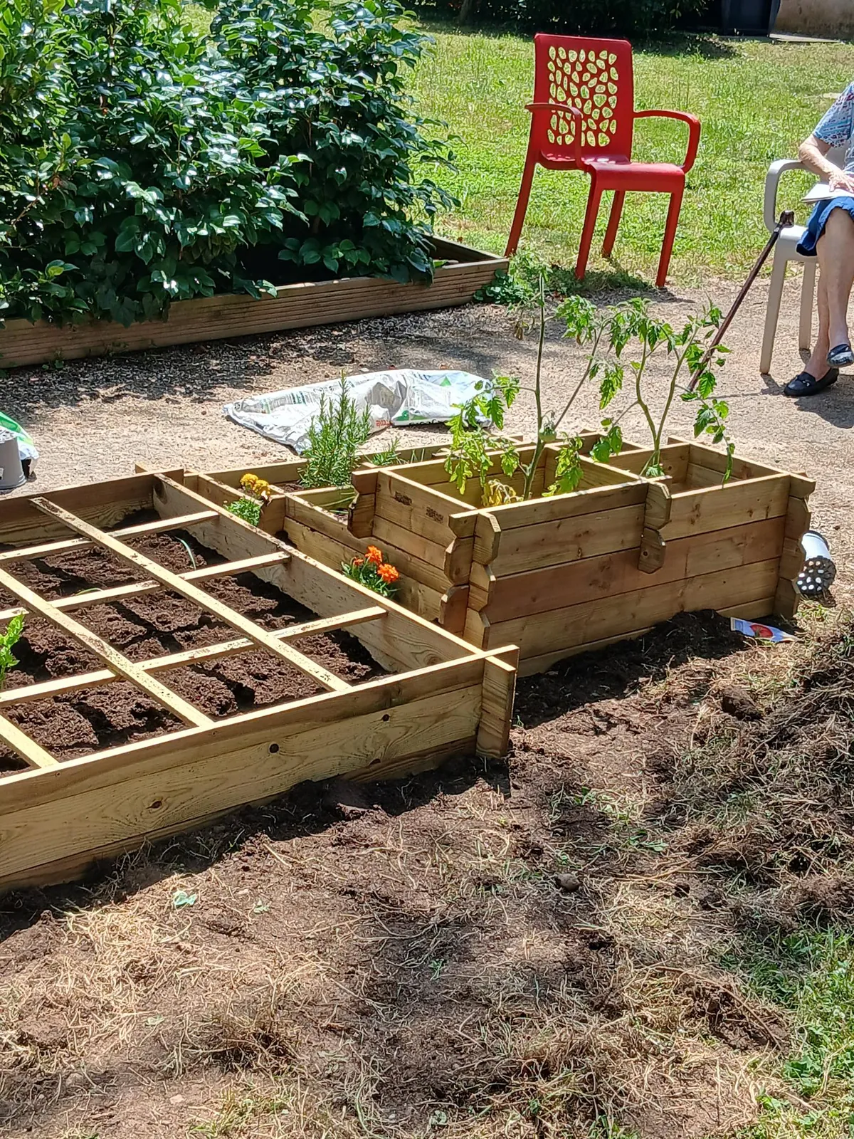 Un petit potager, de grands moments partagés ! 