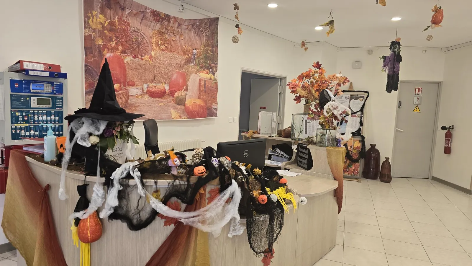 Halloween à Médicis 