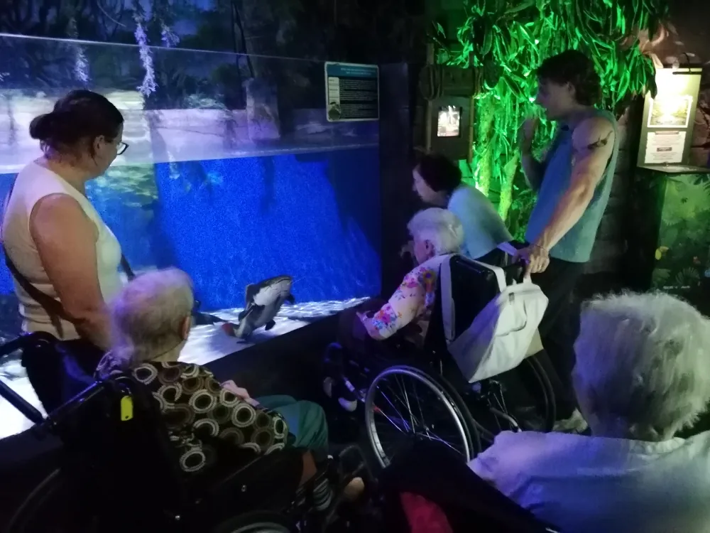 Les Tourterelles de l'EHPAD d'Esbly en immersion !