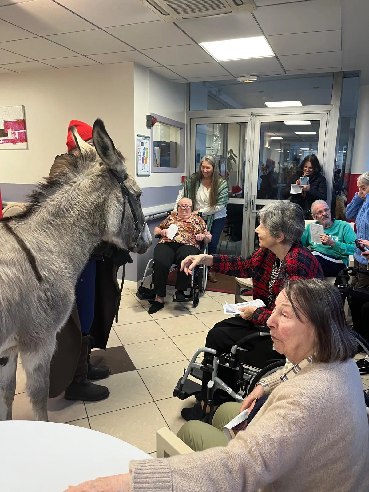 La Marche de Noël : Un moment féerique en compagnie des enfants et des ânes !