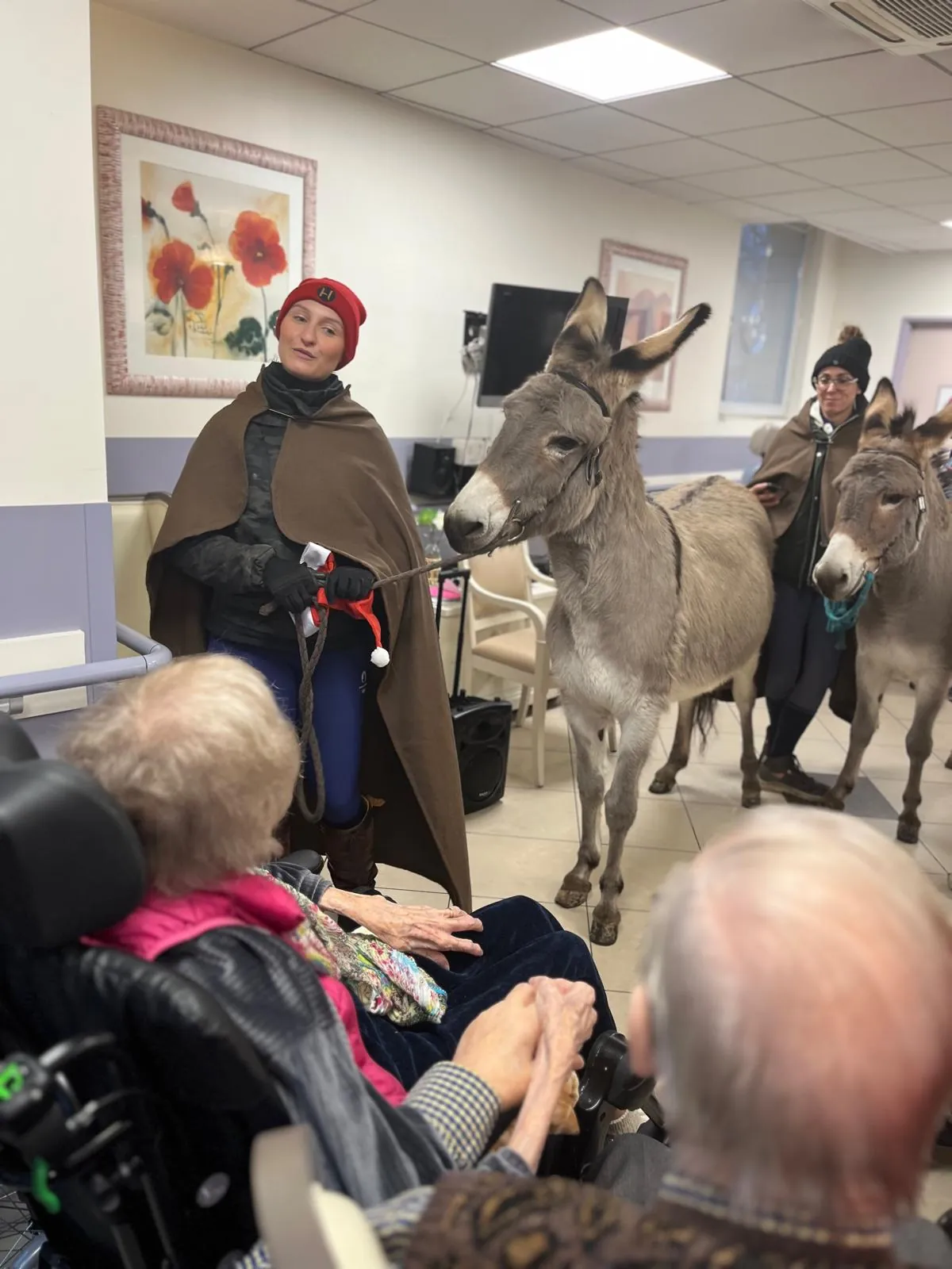 La Marche de Noël : Un moment féerique en compagnie des enfants et des ânes !