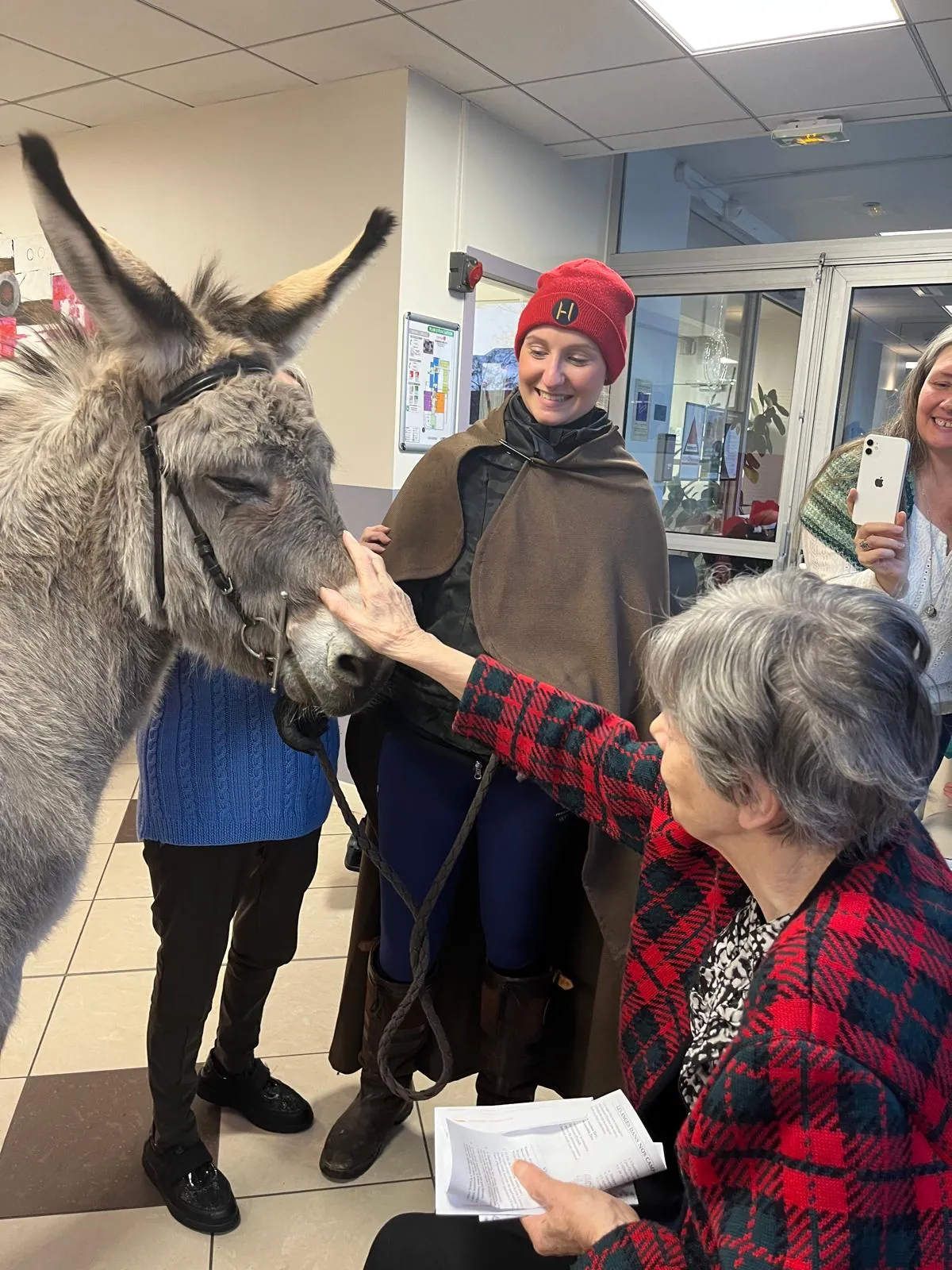 La Marche de Noël : Un moment féerique en compagnie des enfants et des ânes !