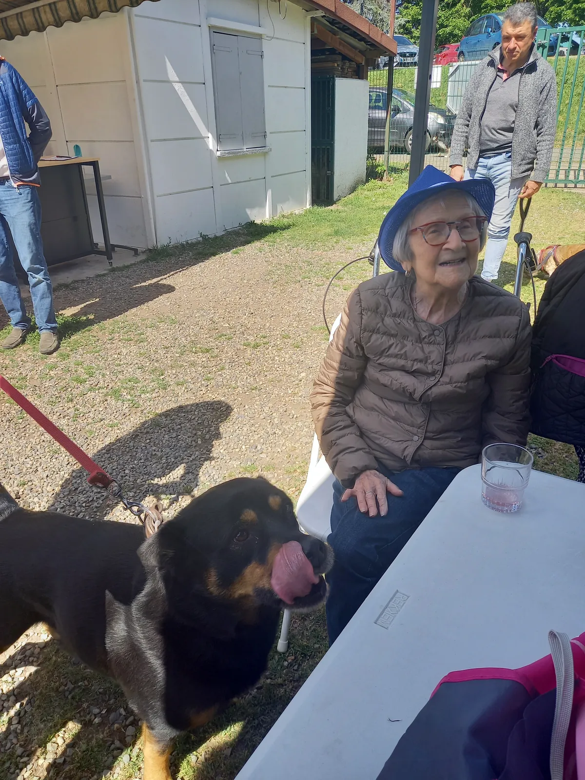 Sortie : l'entrainement des chiens d'utilité